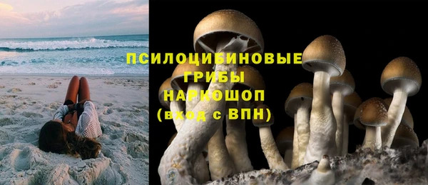 гидропоника Алексин